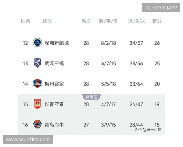 中超第28轮津门虎与长春亚泰激战成平 两队2比2战平再掀高潮 中超第28轮津门虎与长春亚泰激战成平 两队2比2战平再掀高潮